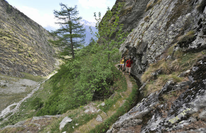 les bisses du valais passent à travers des forêts et longent des falaises rocheuses