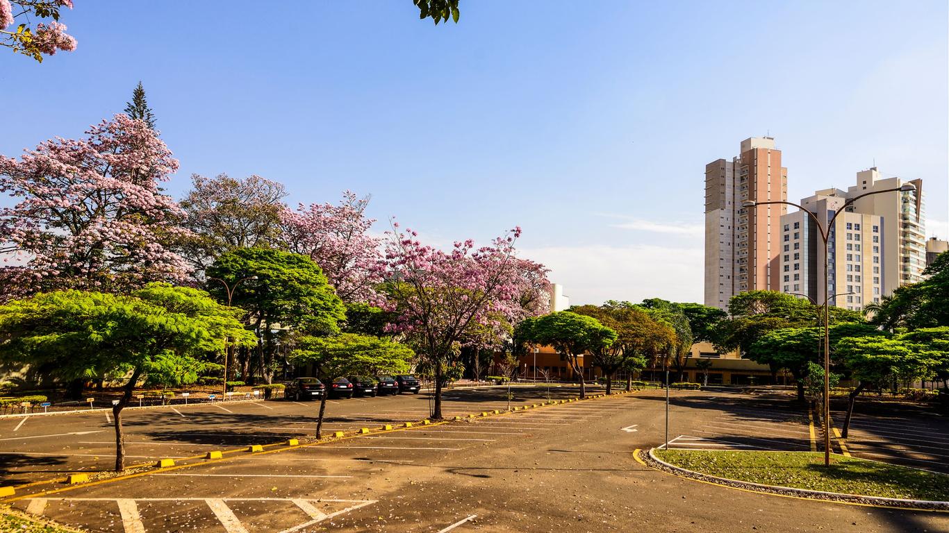 Flights to Londrina